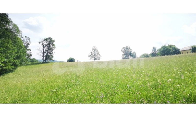 Prodej pozemek pro bydlení - Spálov, Semily