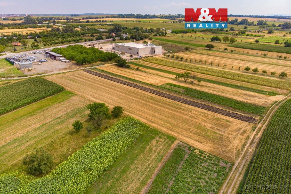 Prodej pozemek pro bydlení - Podivín, 691 45