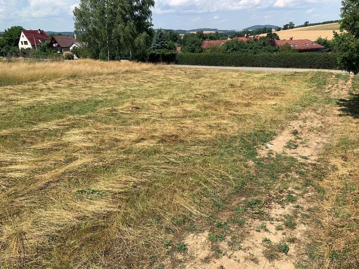 Pozemky pro bydlení, Bystřice u Benešova, 257 51, 1 007 m²