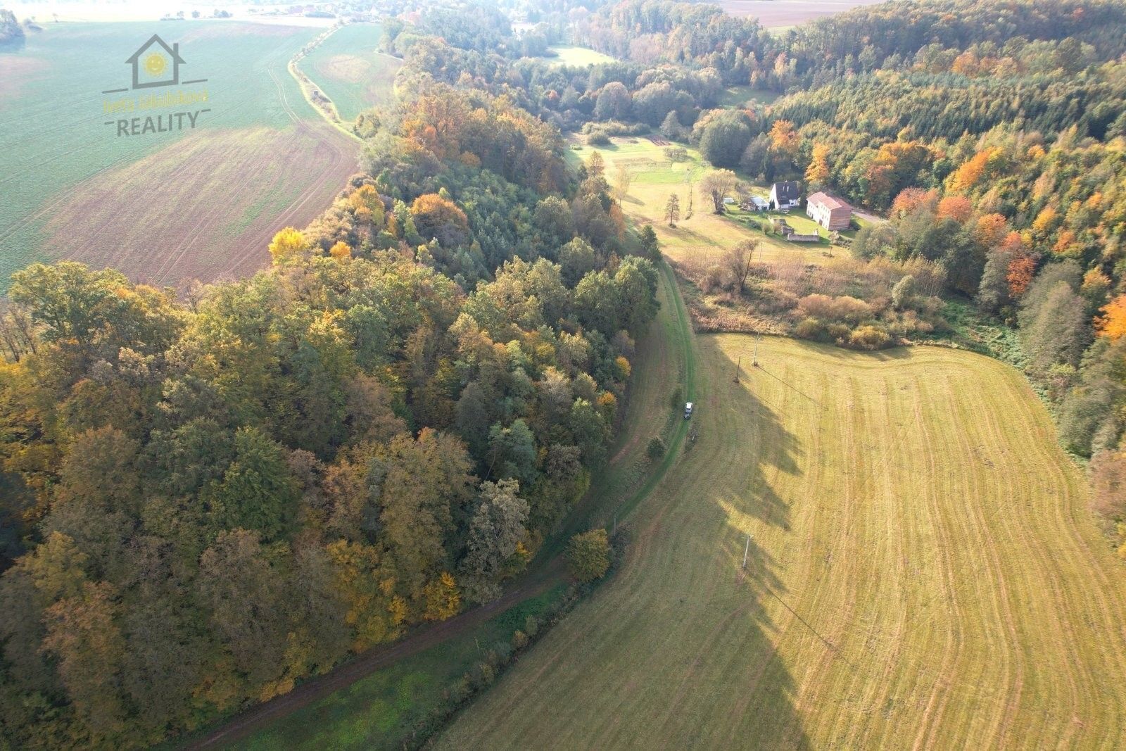 Ostatní, Dolní Bukovina, Horní Bukovina, 37 820 m²