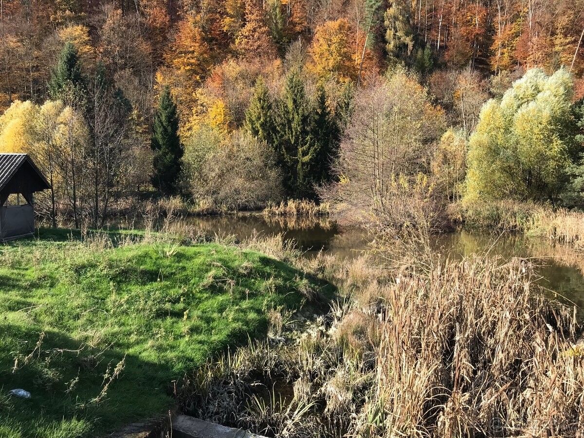 Prodej ostatní - Olšany u Šumperka, 789 62, 5 700 m²