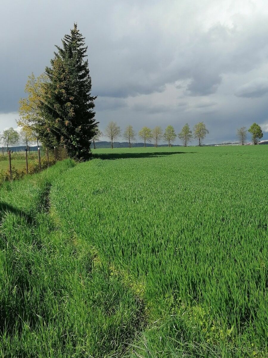 Ostatní, Rožmitál pod Třemšínem, 262 42, 1 300 m²