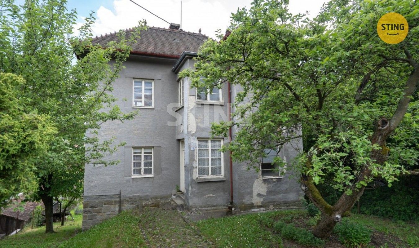 Ostatní, Husova, Bojkovice, 120 m²