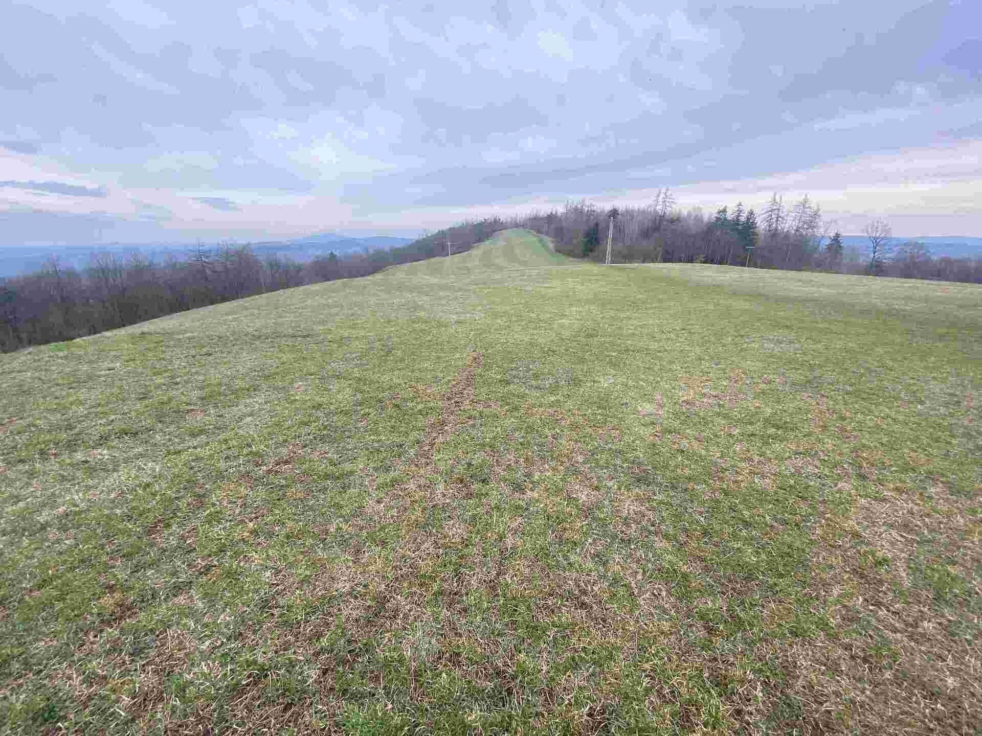 Zemědělské pozemky, Mírová pod Kozákovem, 20 m²