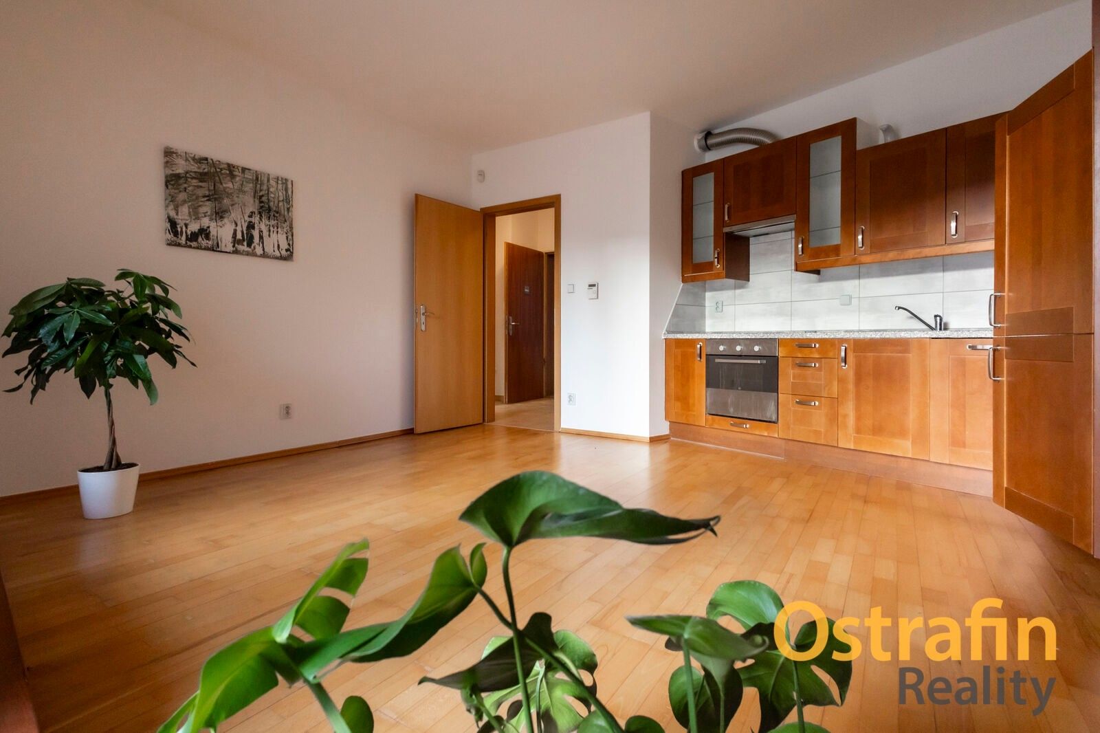 2+kk, Blahoslavova, Ostrava, 47 m²