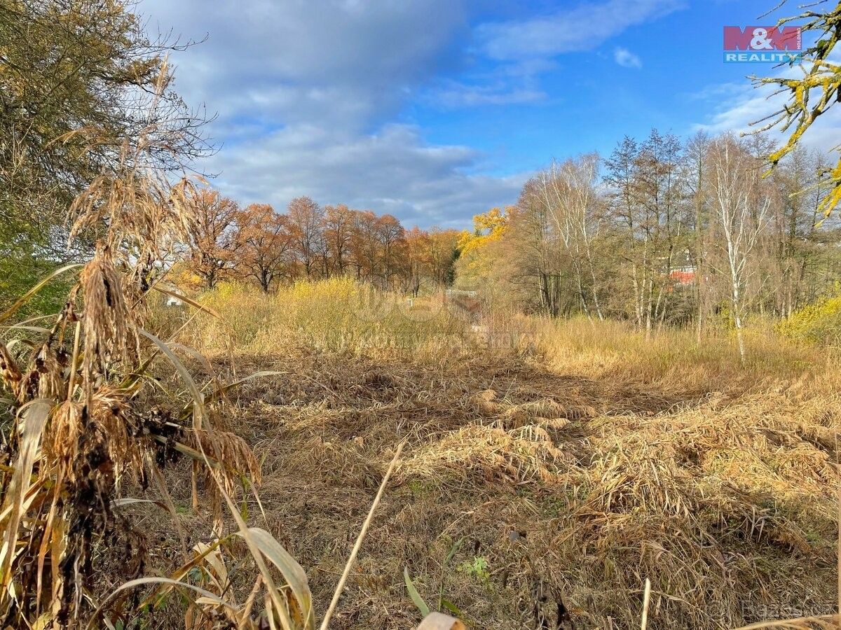 Prodej pozemek - Kamenný Újezd, 373 81, 5 019 m²