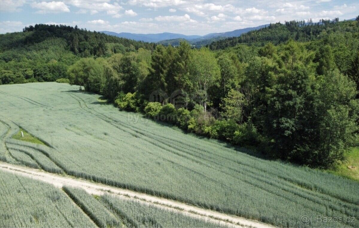 Prodej zemědělský pozemek - Baška, 739 01, 5 160 m²