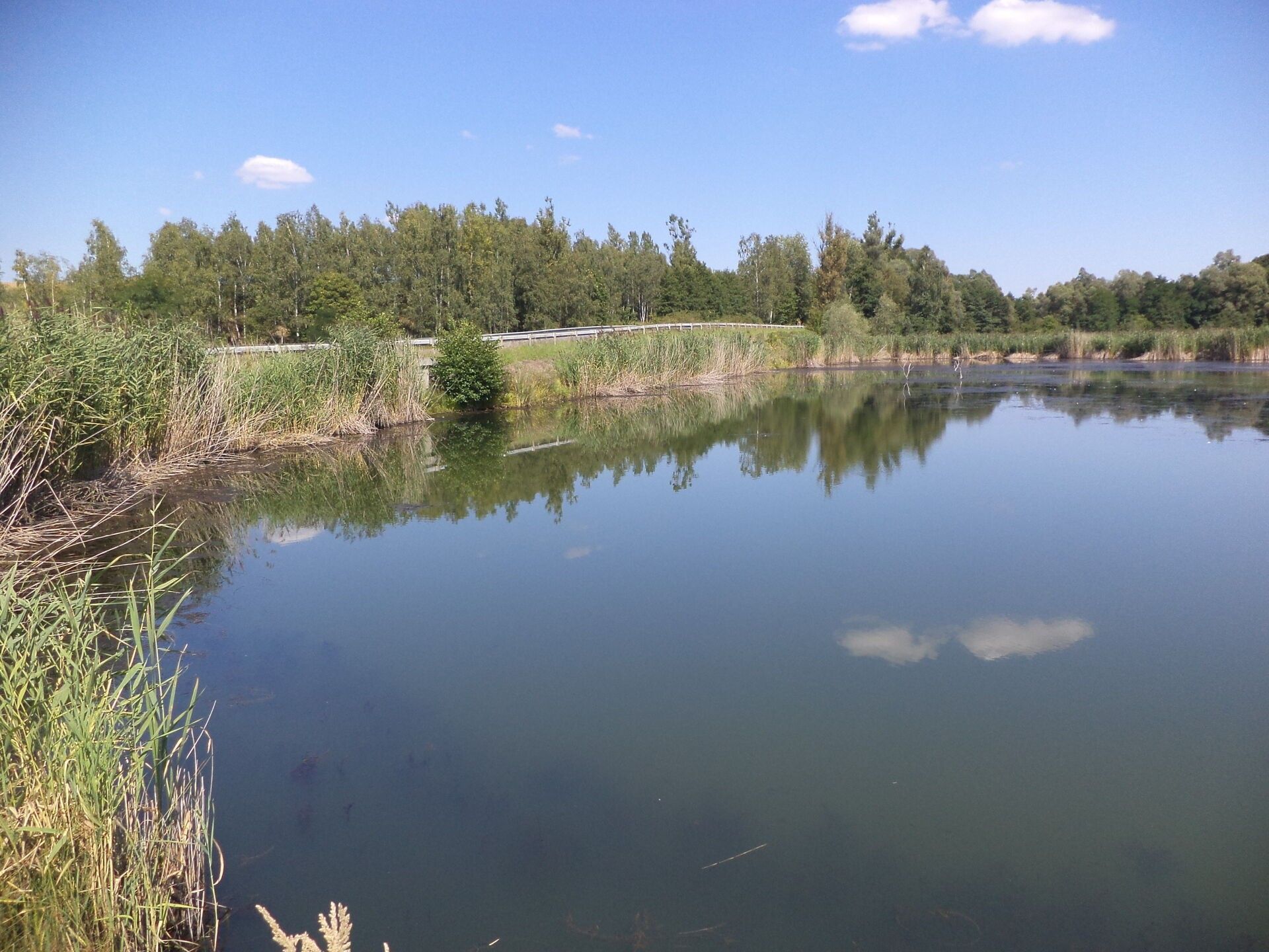 Ostatní, Stonava, 1 m²