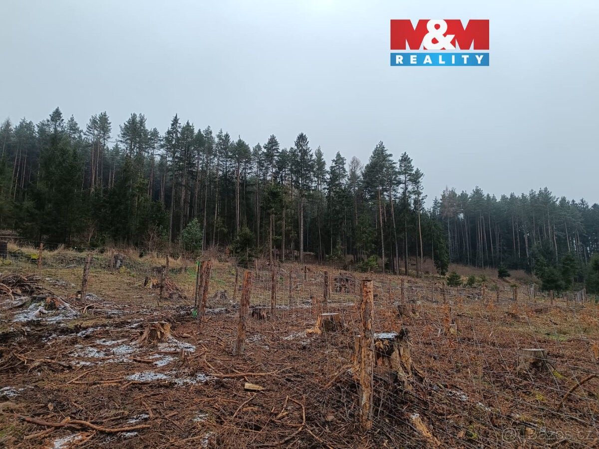 Pozemky pro bydlení, Drážov, 387 19