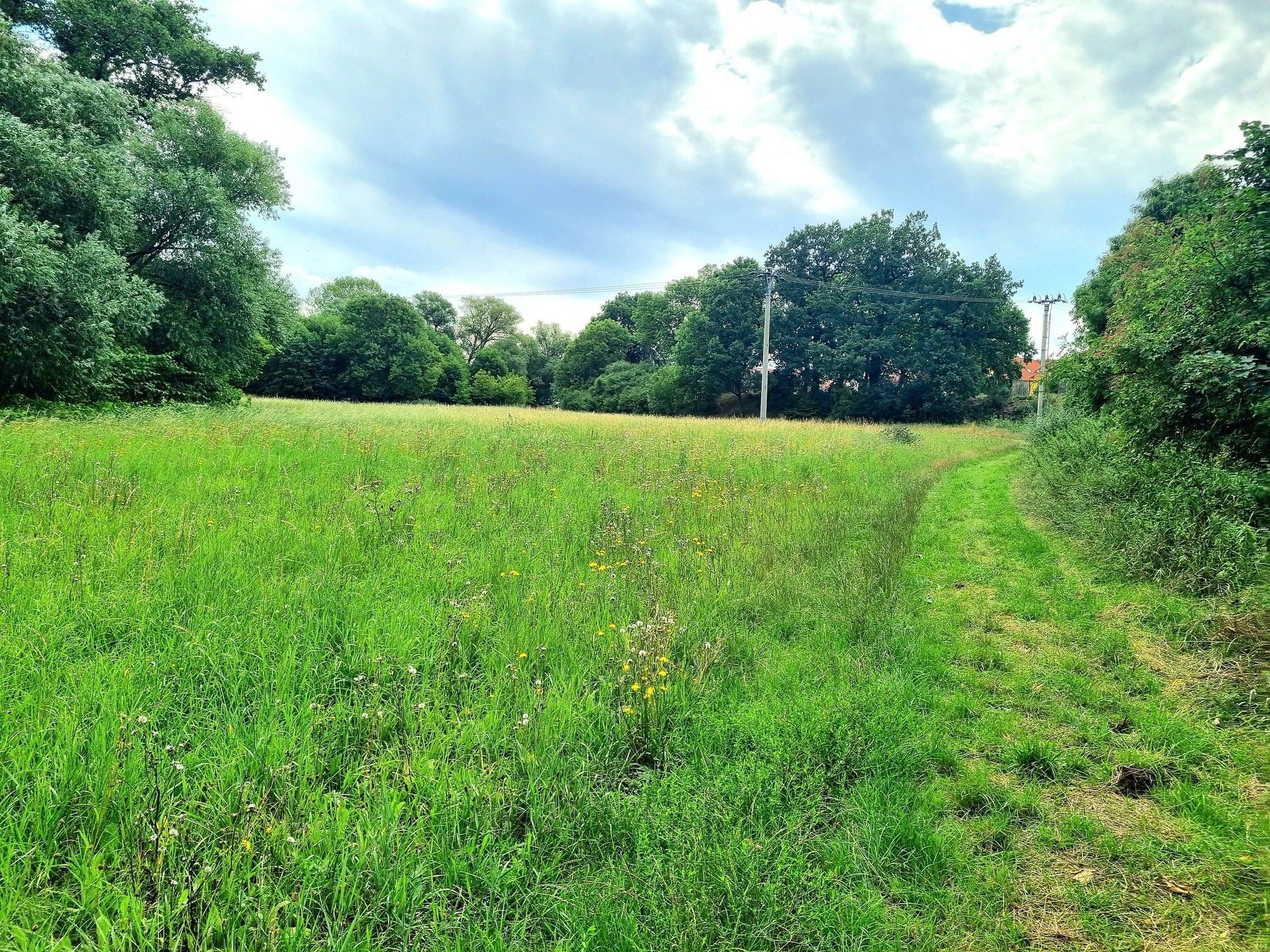 Prodej pozemek pro bydlení - Nezabylice