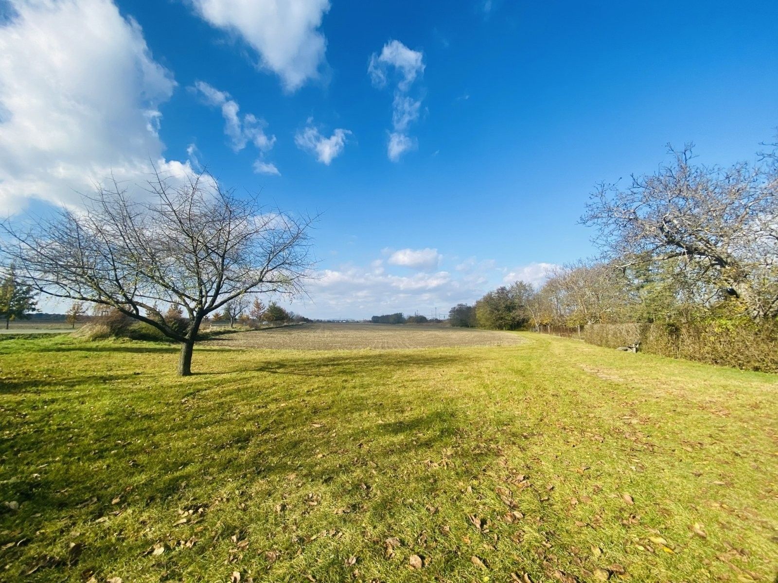 Komerční pozemky, Lanžhot, 1 970 m²