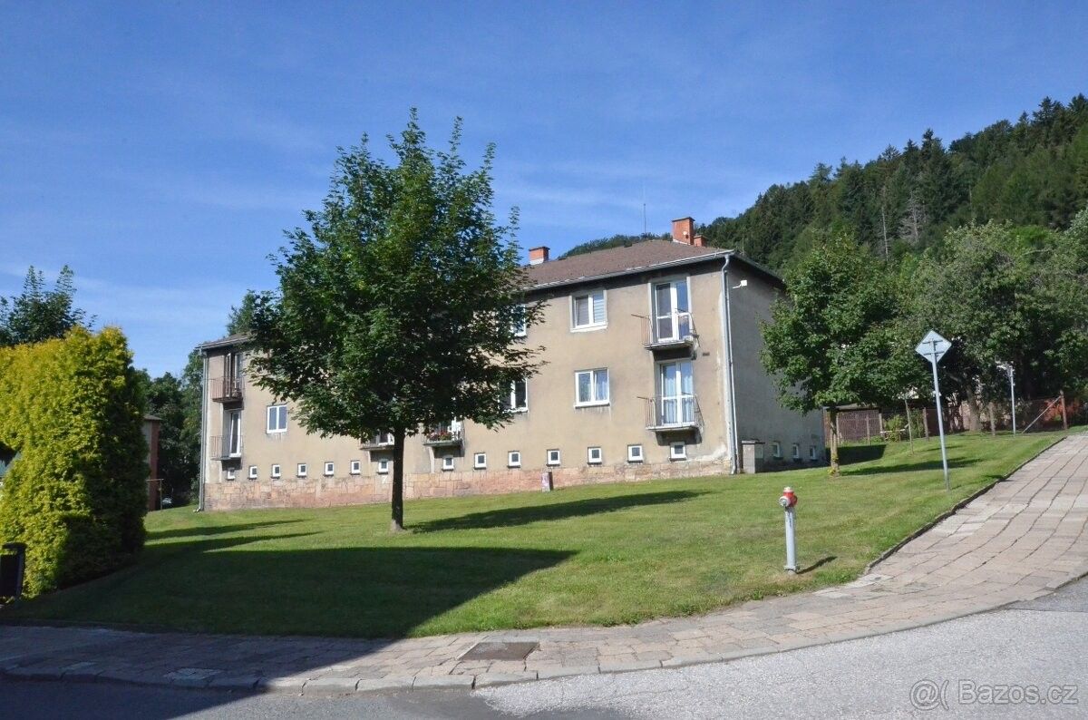 2+1, Žacléř, 542 01, 47 m²