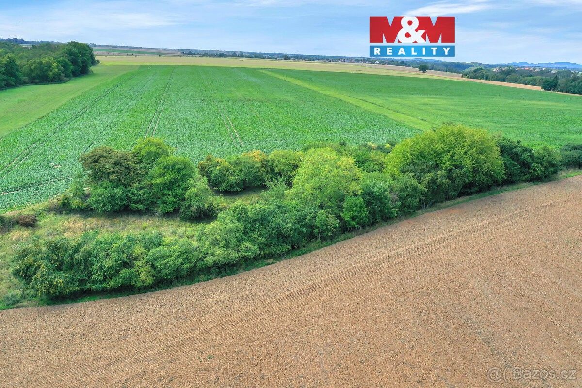 Pozemky pro bydlení, Velké Všelisy, 294 27