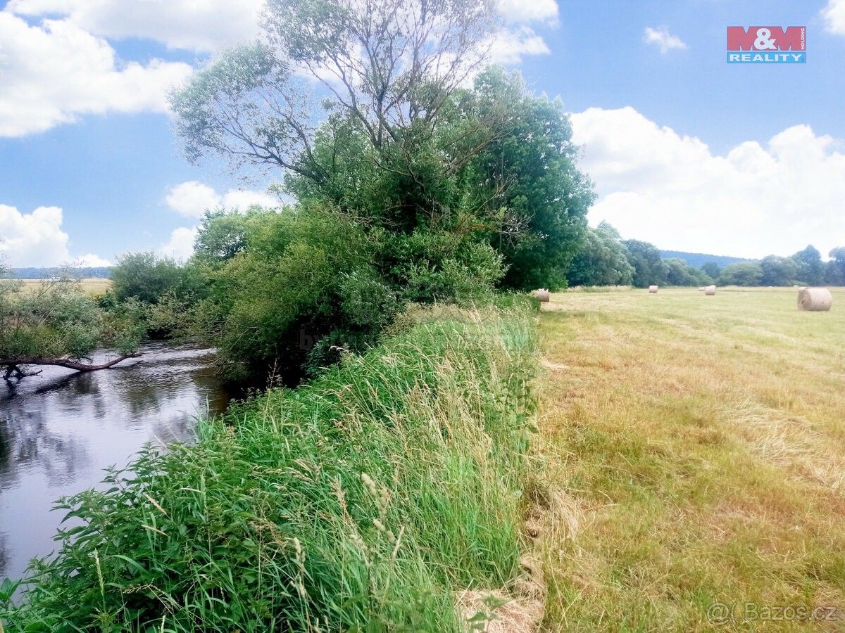 Prodej zemědělský pozemek - Kostelec nad Orlicí, 517 41, 9 197 m²