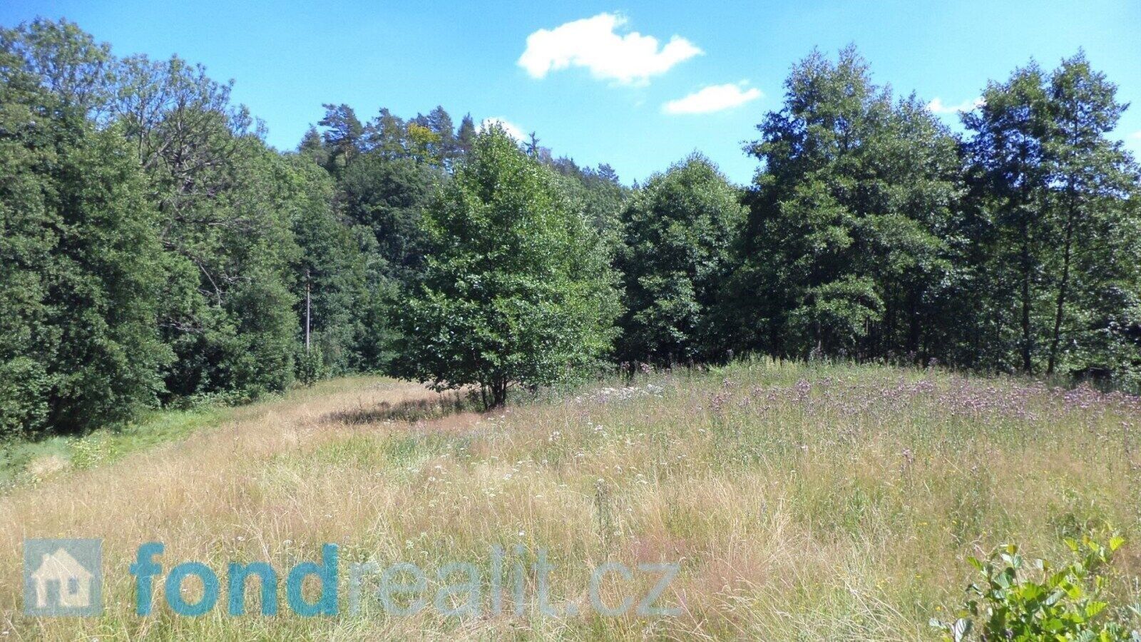 Ostatní, Mařenice, 19 m²