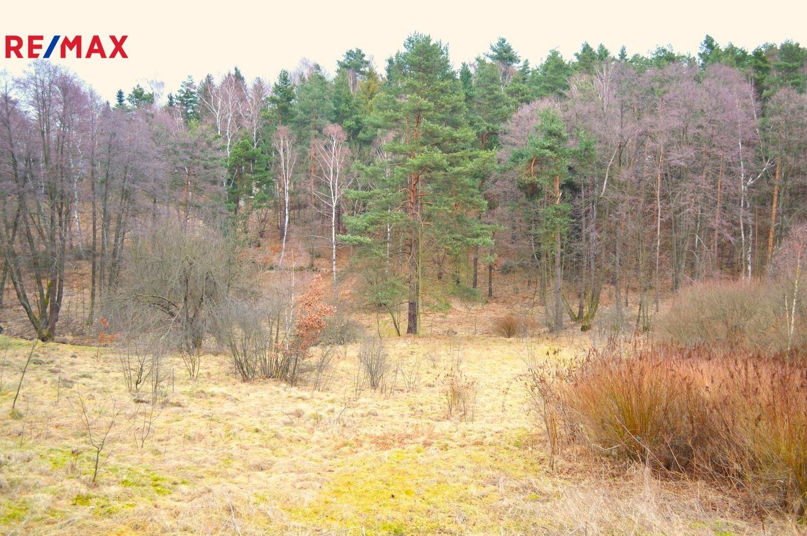 Prodej pozemek pro bydlení - Arnoltice, 645 m²