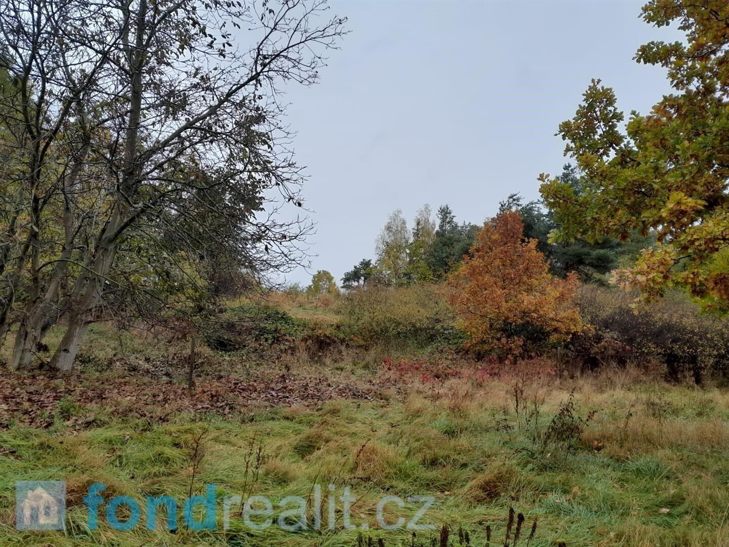 Prodej pozemek - Bušanovice, 4 m²