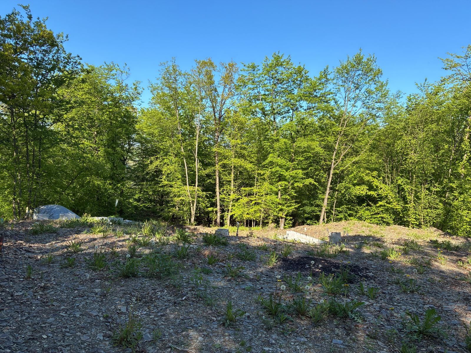 Pozemky pro bydlení, obec Hradištko, 252 09 Hradištko, 1 477 m²