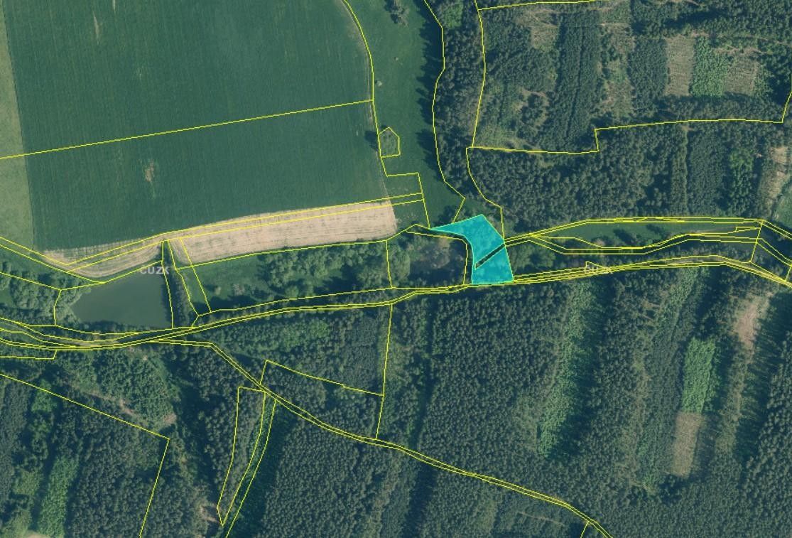 Prodej louka - Damnov, Bor, 2 963 m²