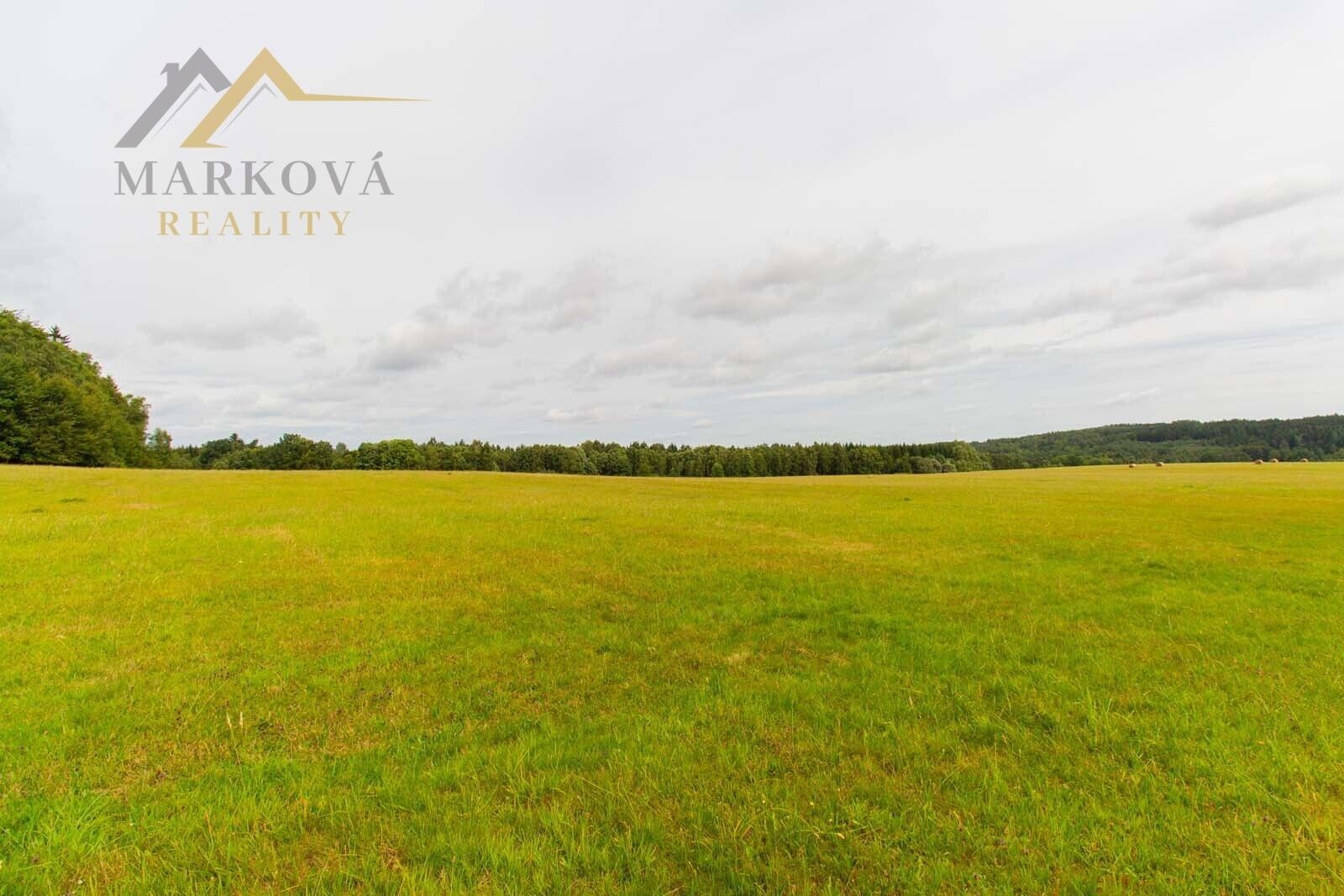 Prodej louka - Benešov nad Černou, 98 591 m²