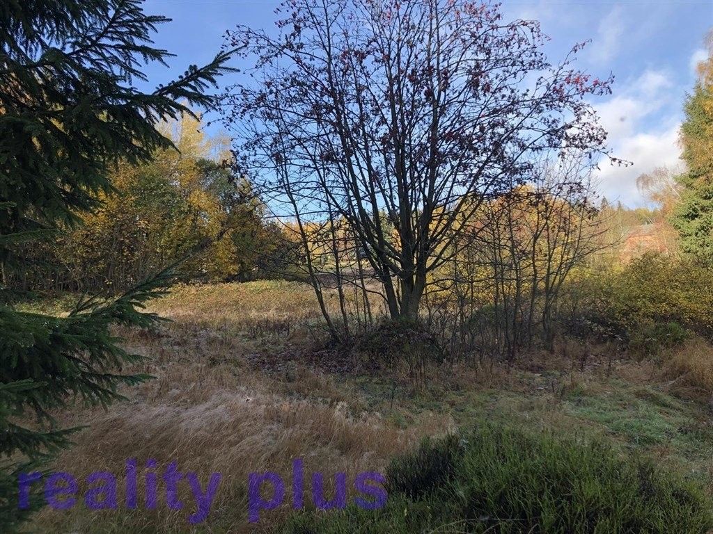 Prodej louka - Bedřichov, 7 m²