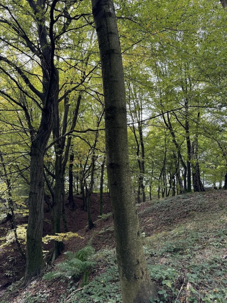 Prodej pozemek pro bydlení - Bohumín, 735 81