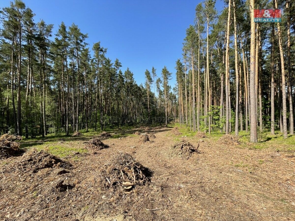 Lesy, Boršov nad Vltavou, 373 82, 4 511 m²