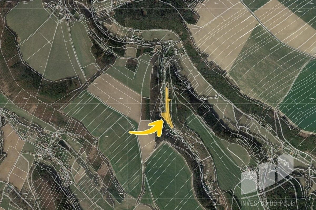 Prodej louka - Rabouň, Luže, 1 928 m²