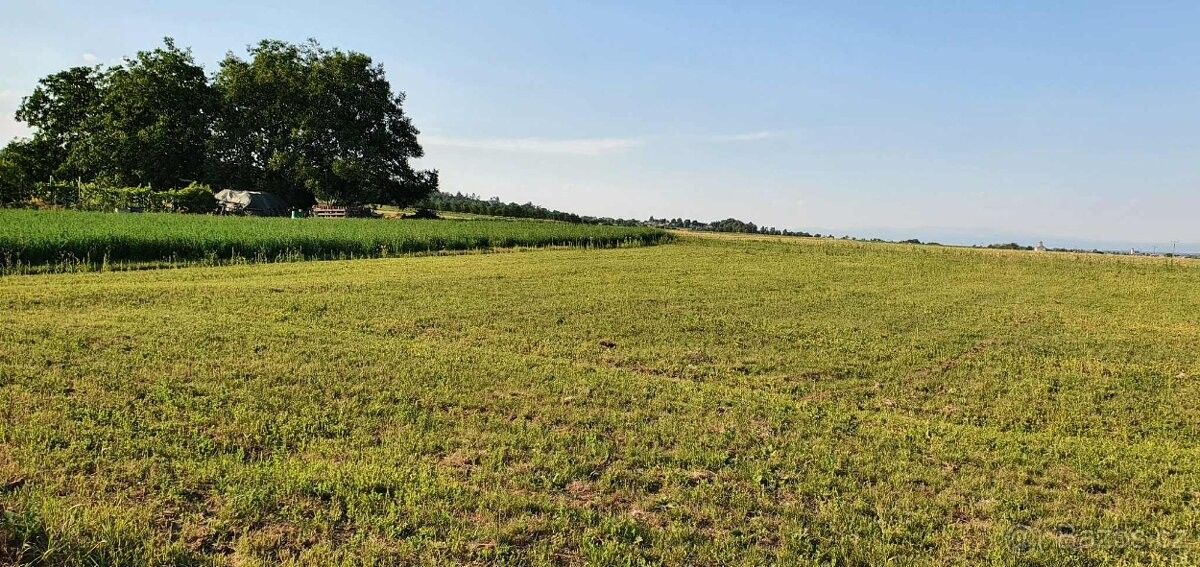 Zahrady, Náměšť na Hané, 783 44