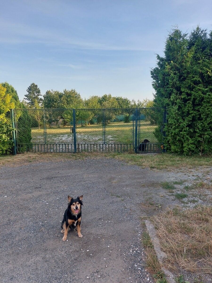 Pozemky pro bydlení, Blatná, 388 01