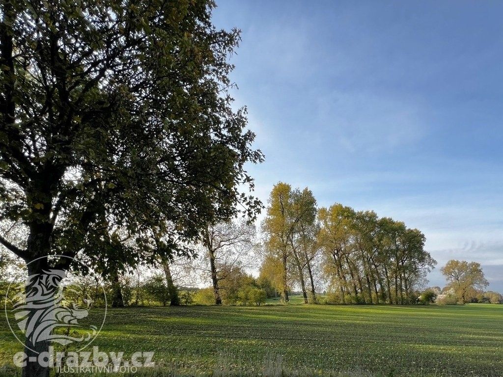 Louky, Polubný, Kořenov, 1 059 m²