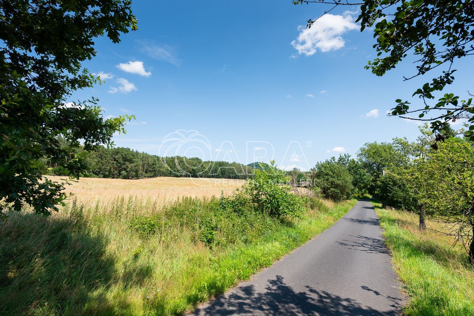 Prodej louka - Stará Oleška, Huntířov, 7 345 m²