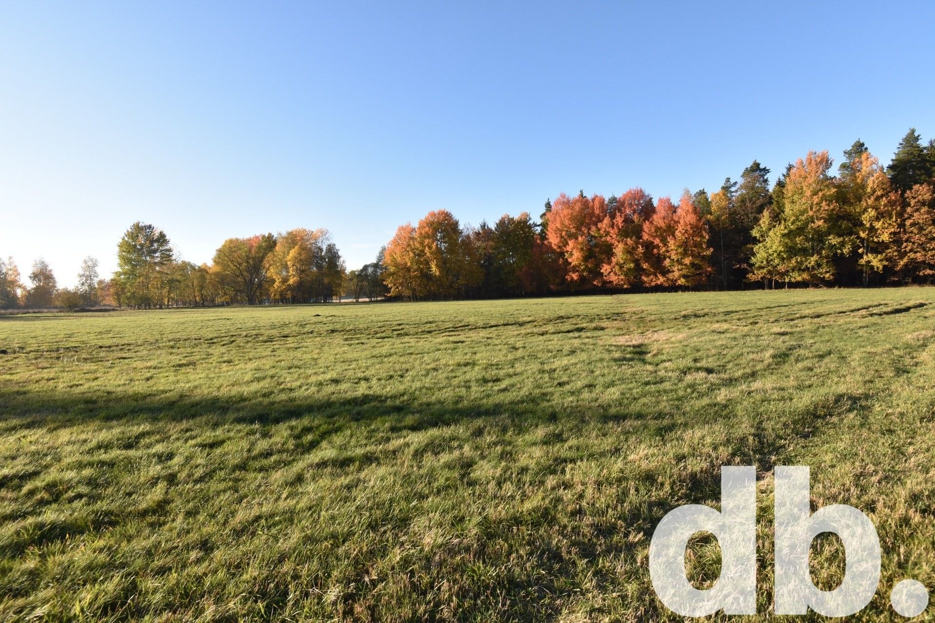 Prodej pozemek pro bydlení - Mezirolí, Nová Role