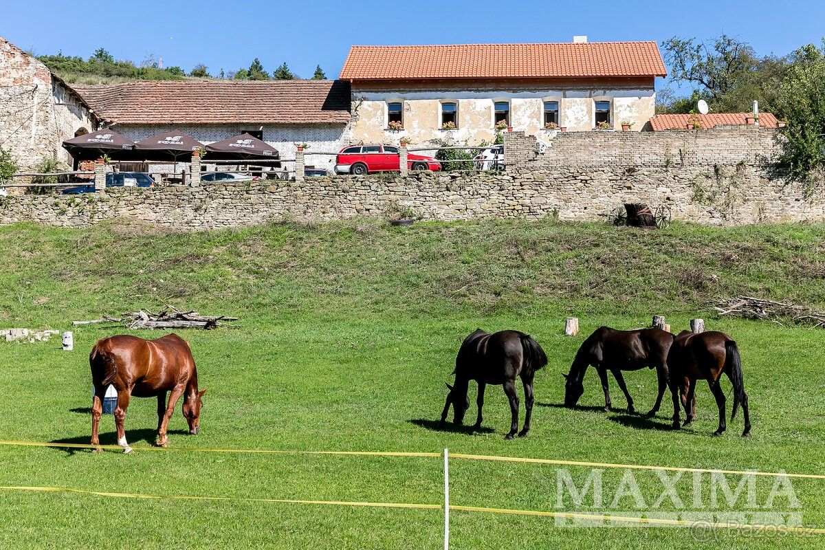 Prodej dům - Beroun, 266 01, 2 287 m²