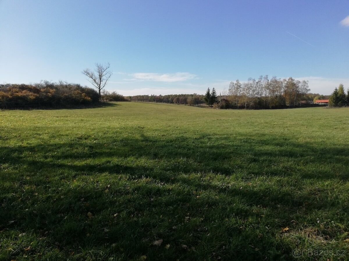 Pozemky pro bydlení, Poděbrady, 290 01