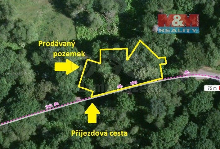 Zemědělské pozemky, Chodová Planá, 348 13, 1 188 m²