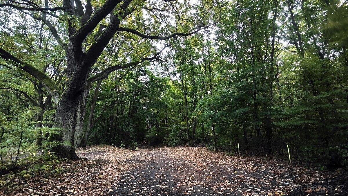 Zahrady, Dubí, 417 01