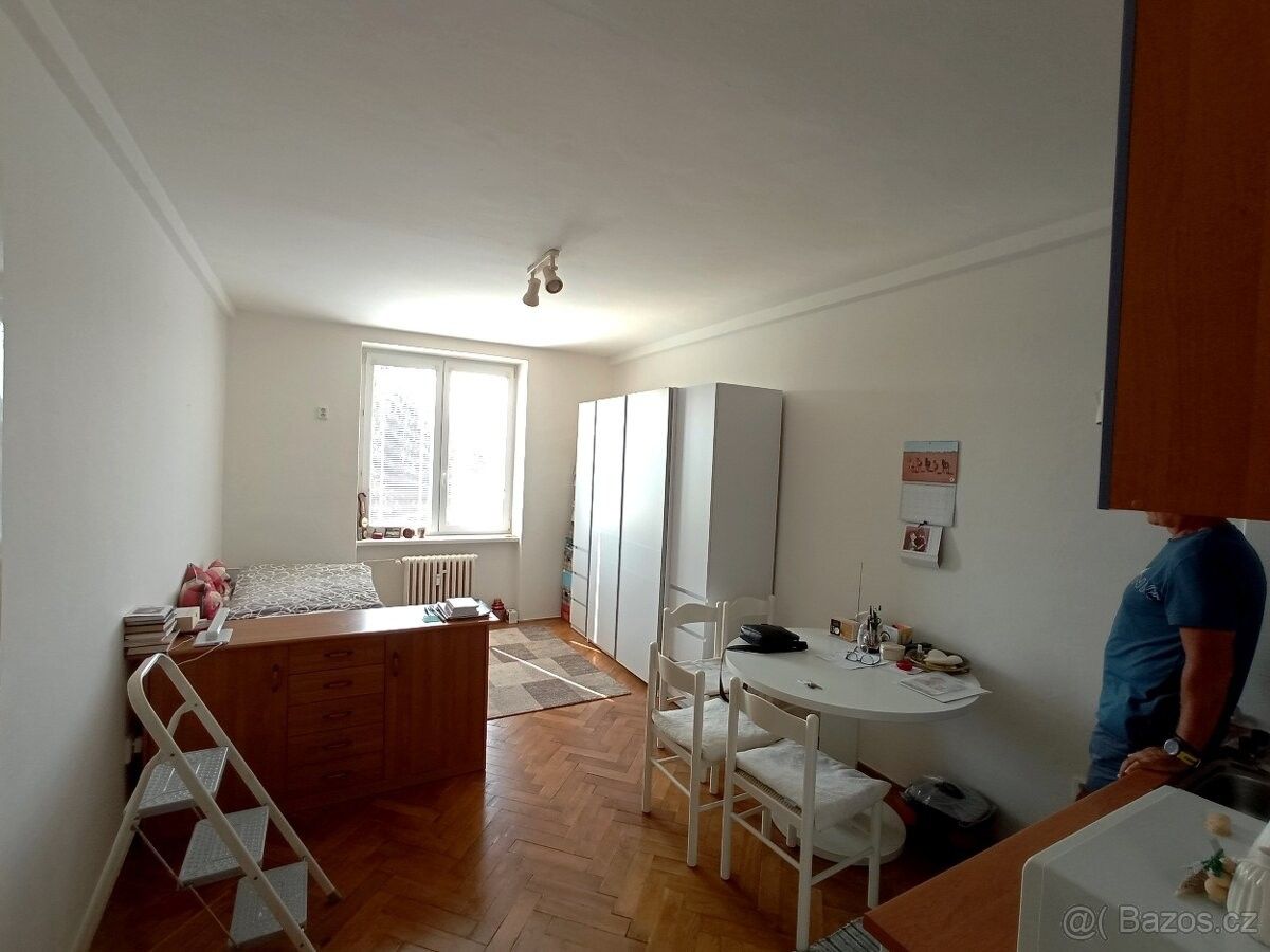 1+kk, Brno, 602 00, 34 m²