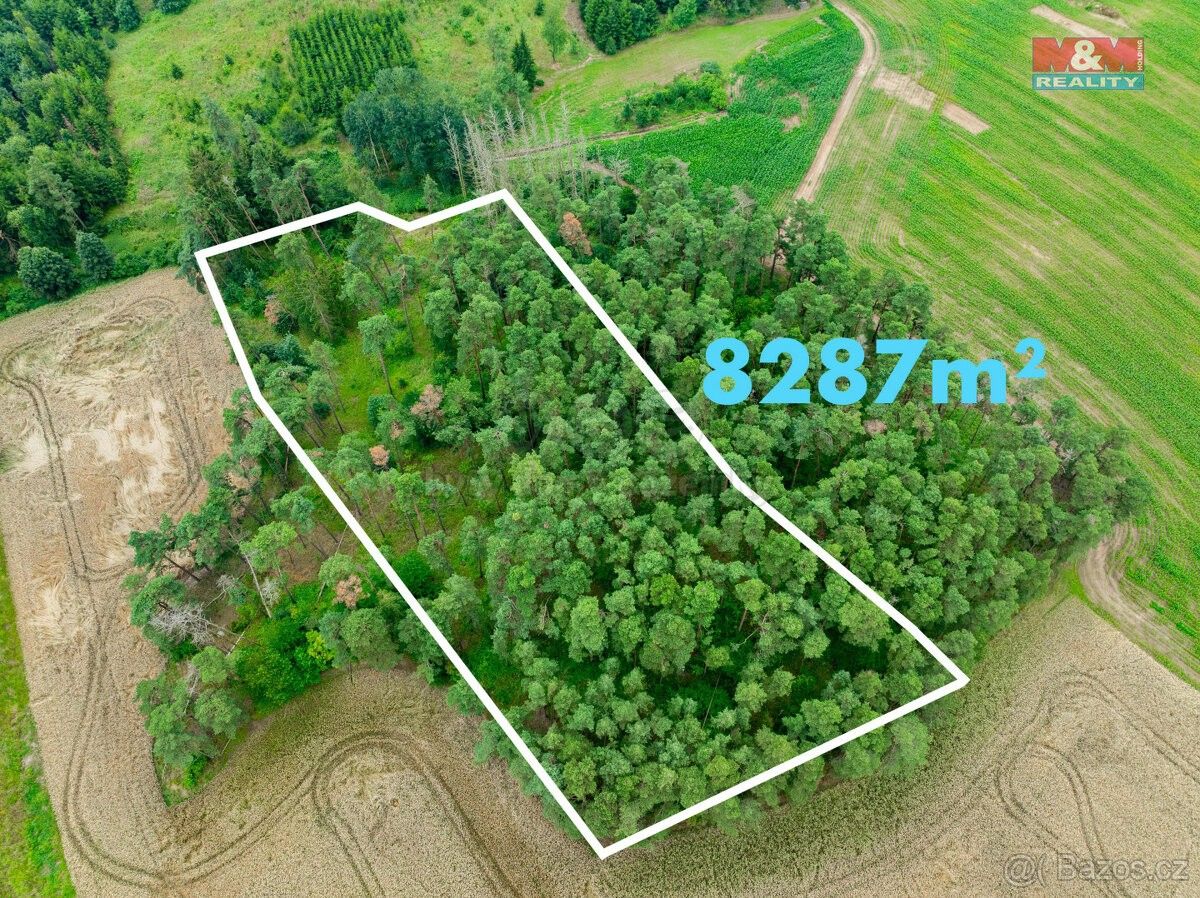 Lesy, Budišov u Třebíče, 675 03, 8 287 m²