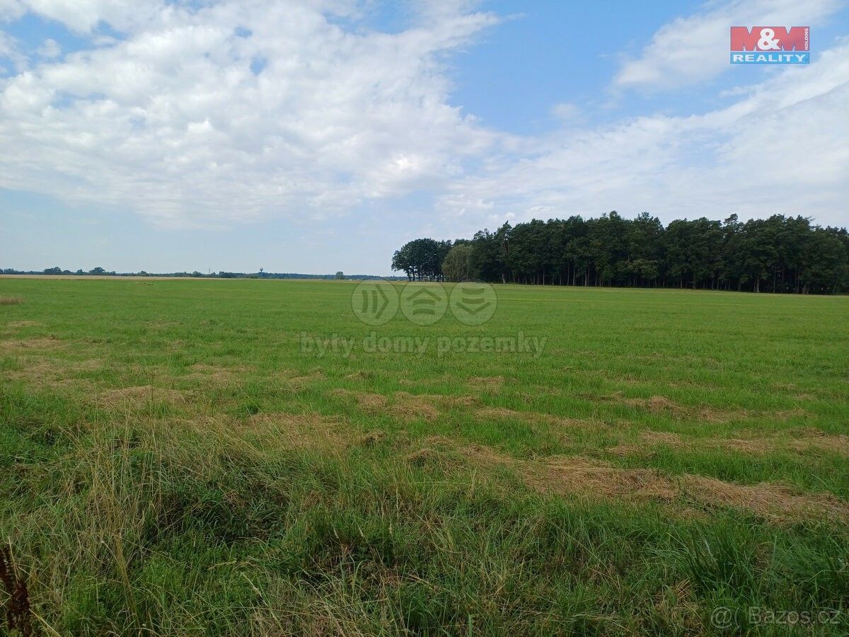 Prodej pozemek - Suchdol nad Lužnicí, 378 06, 1 500 m²