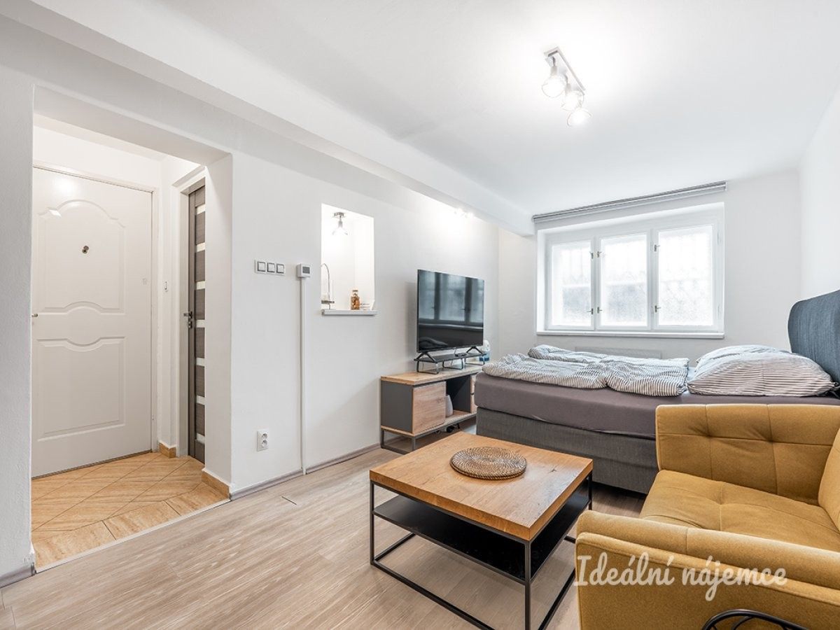 1+kk, Za Strahovem, Praha, 24 m²