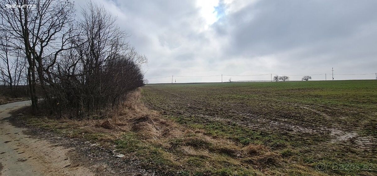 Prodej pozemek pro bydlení - Oleška u Českého Brodu, 281 62