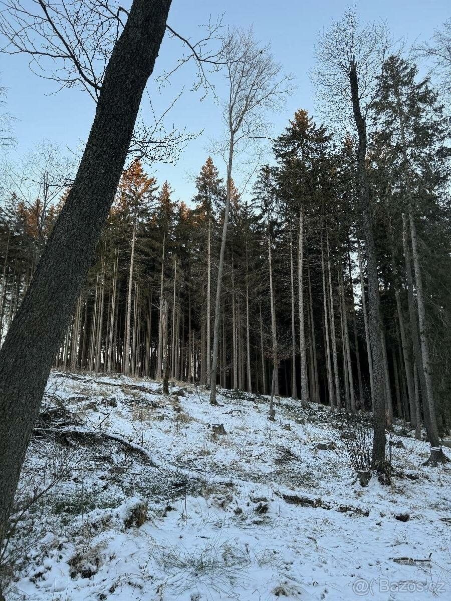 Lesy, Mladá Vožice, 391 43, 9 185 m²