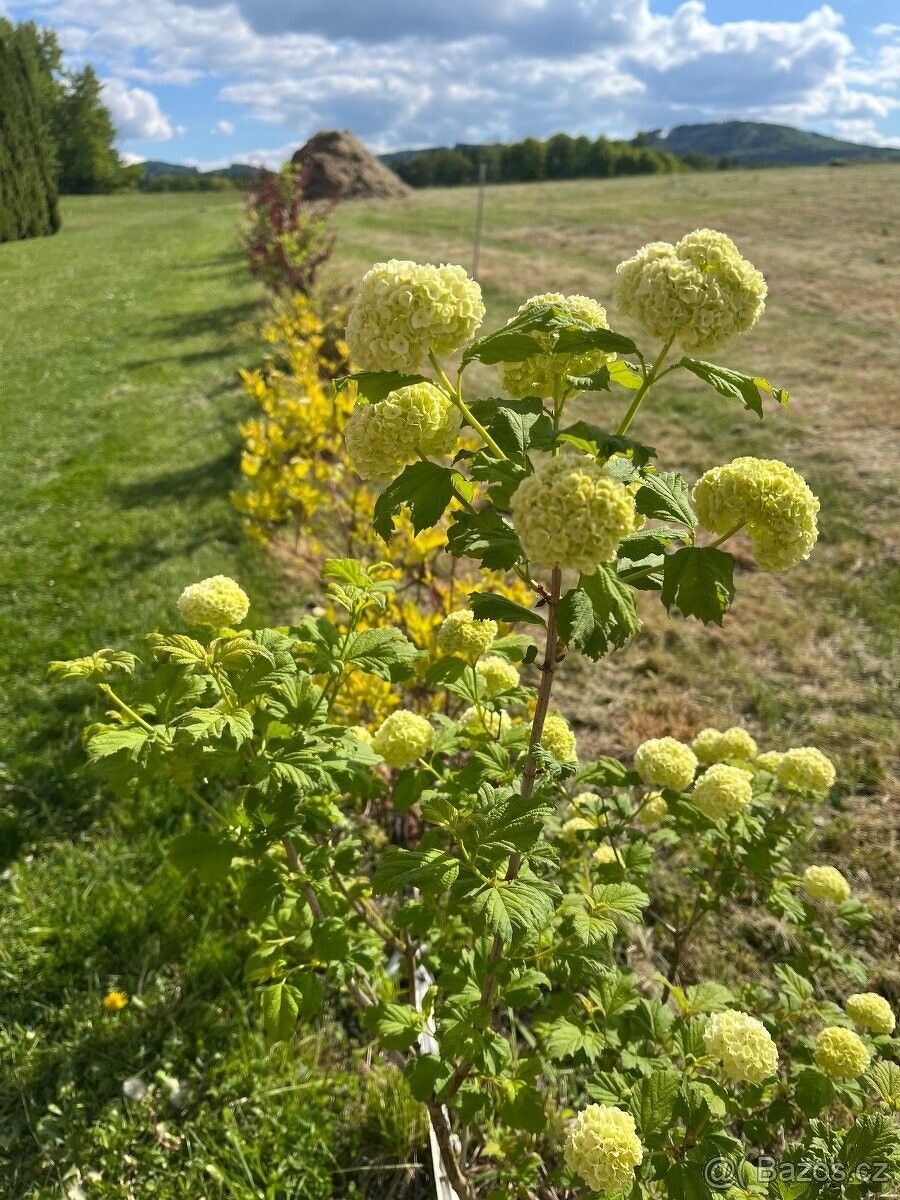 Pozemky pro bydlení, Trhové Sviny, 374 01
