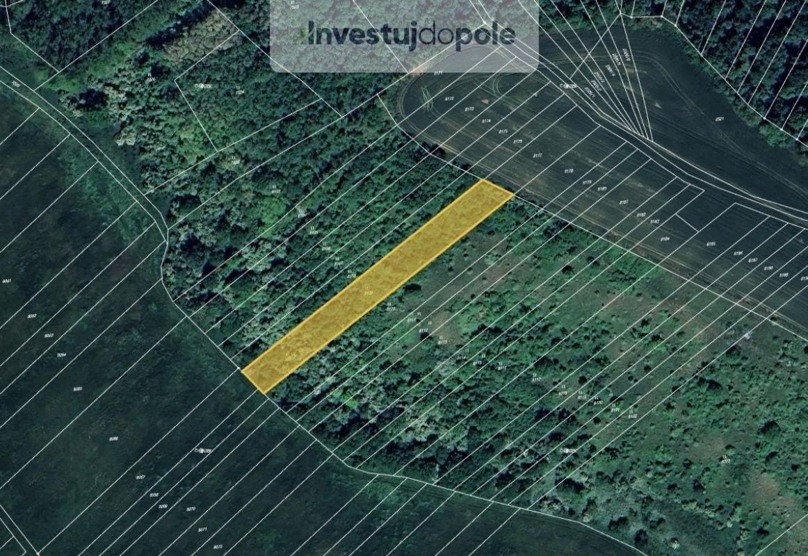 Louky, Velké Němčice, 2 897 m²