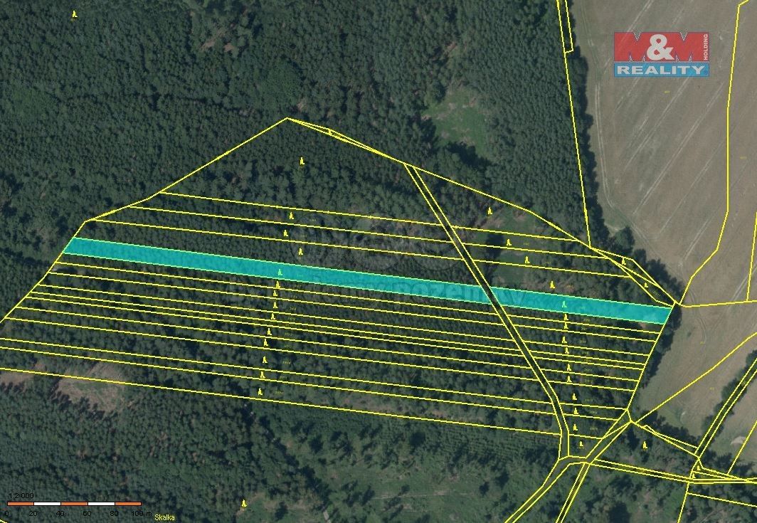 Lesy, Troubelice, 783 83, 12 541 m²