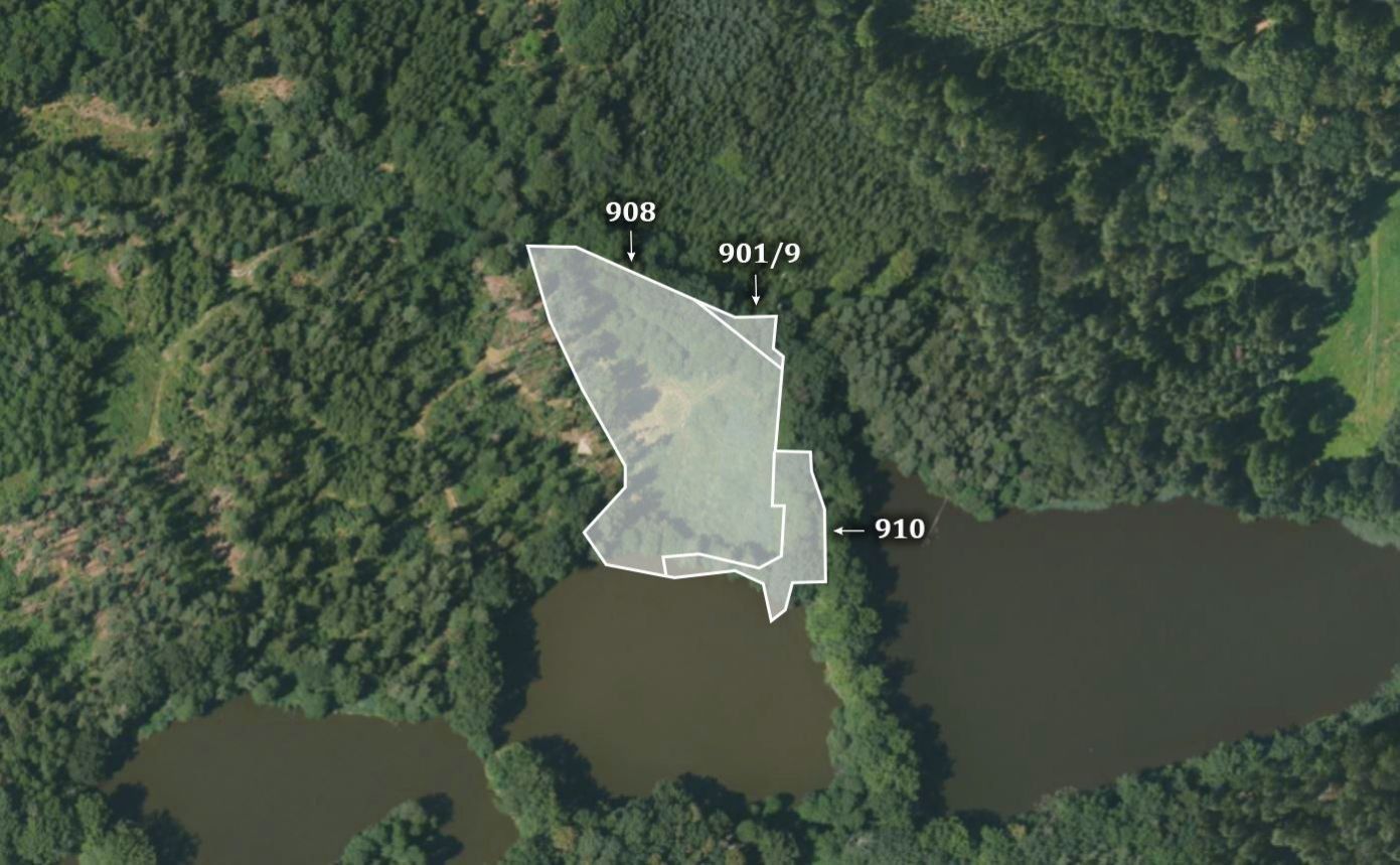 Zemědělské pozemky, Žíteč, Chlum u Třeboně, 15 705 m²