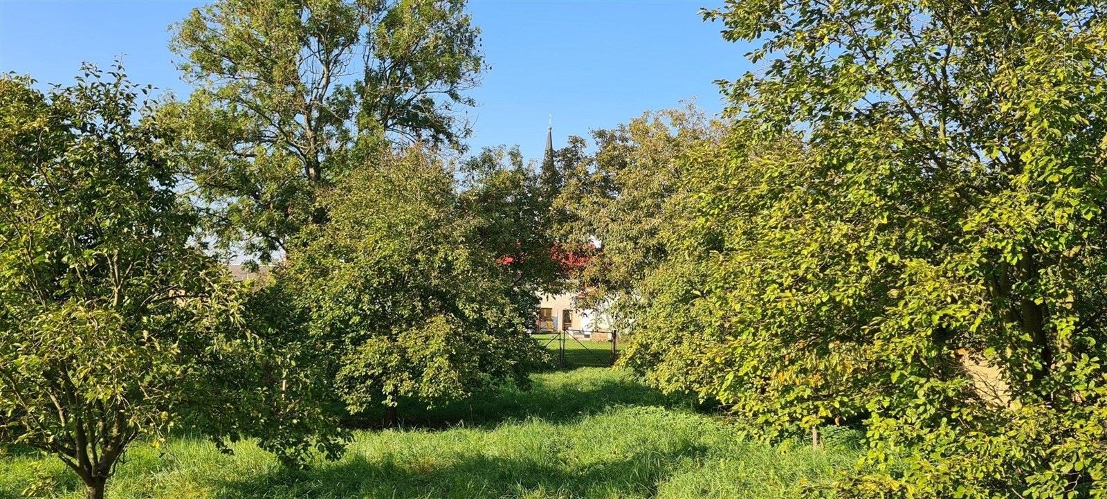 Prodej pozemek pro bydlení - Těšetice, 3 691 m²