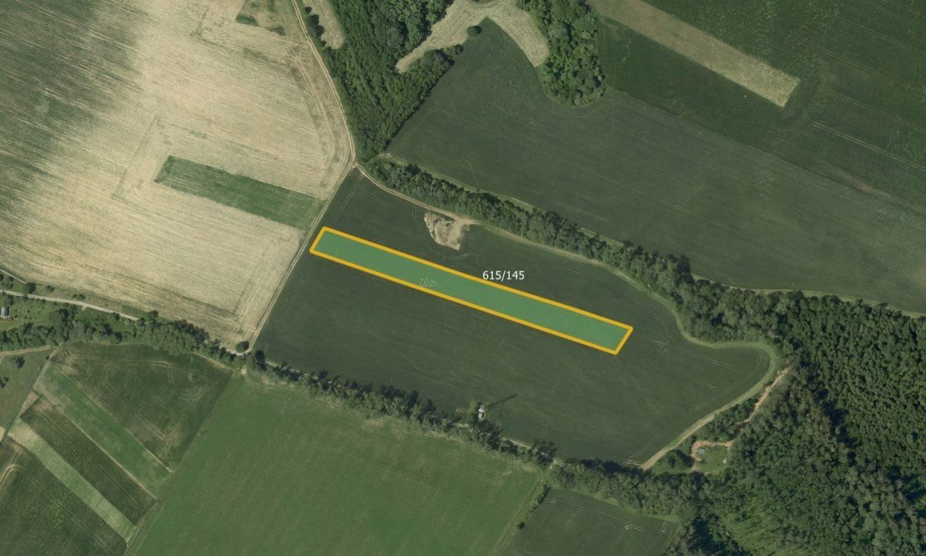 Prodej zemědělský pozemek - Světlá