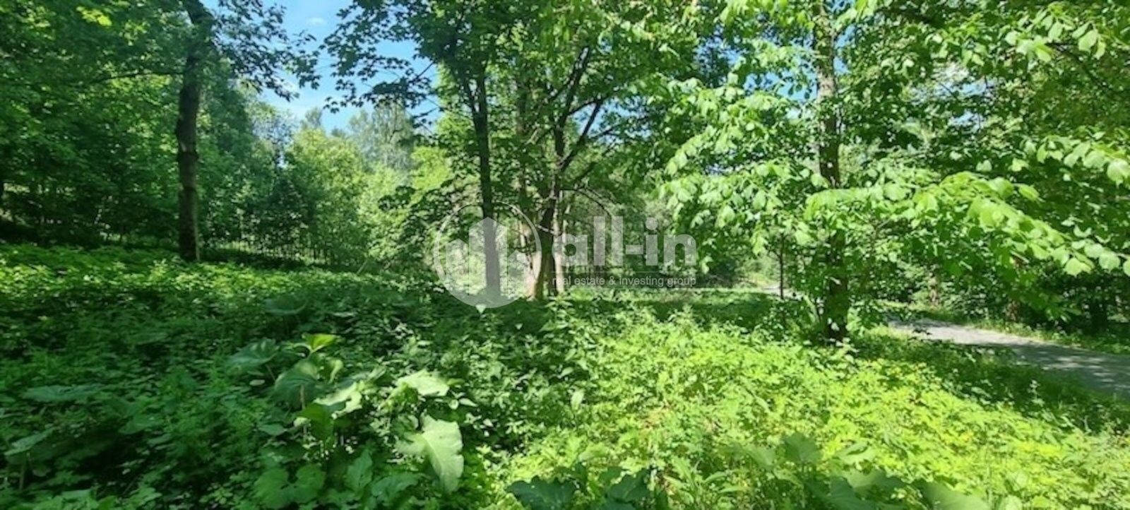 Pozemky pro bydlení, Vysoký Potok, Malá Morava, 1 411 m²